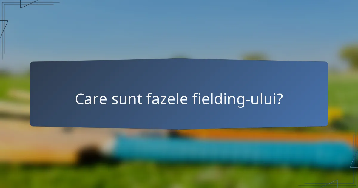 Care sunt fazele fielding-ului?